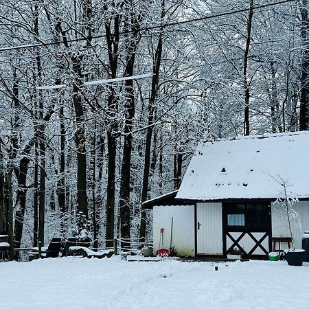 Romantyczna Chatka Pisarzowice  Dış mekan fotoğraf