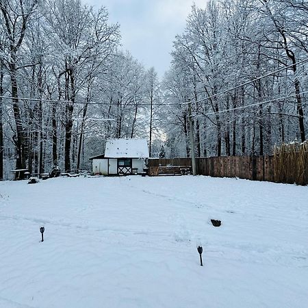Romantyczna Chatka Pisarzowice  Dış mekan fotoğraf