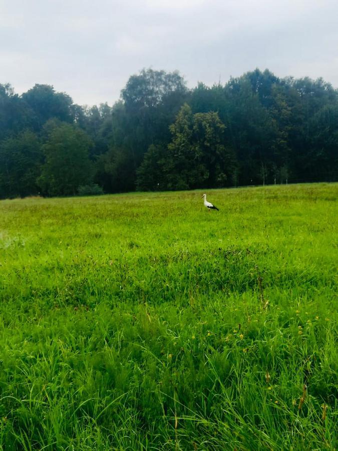 Romantyczna Chatka Pisarzowice  Dış mekan fotoğraf