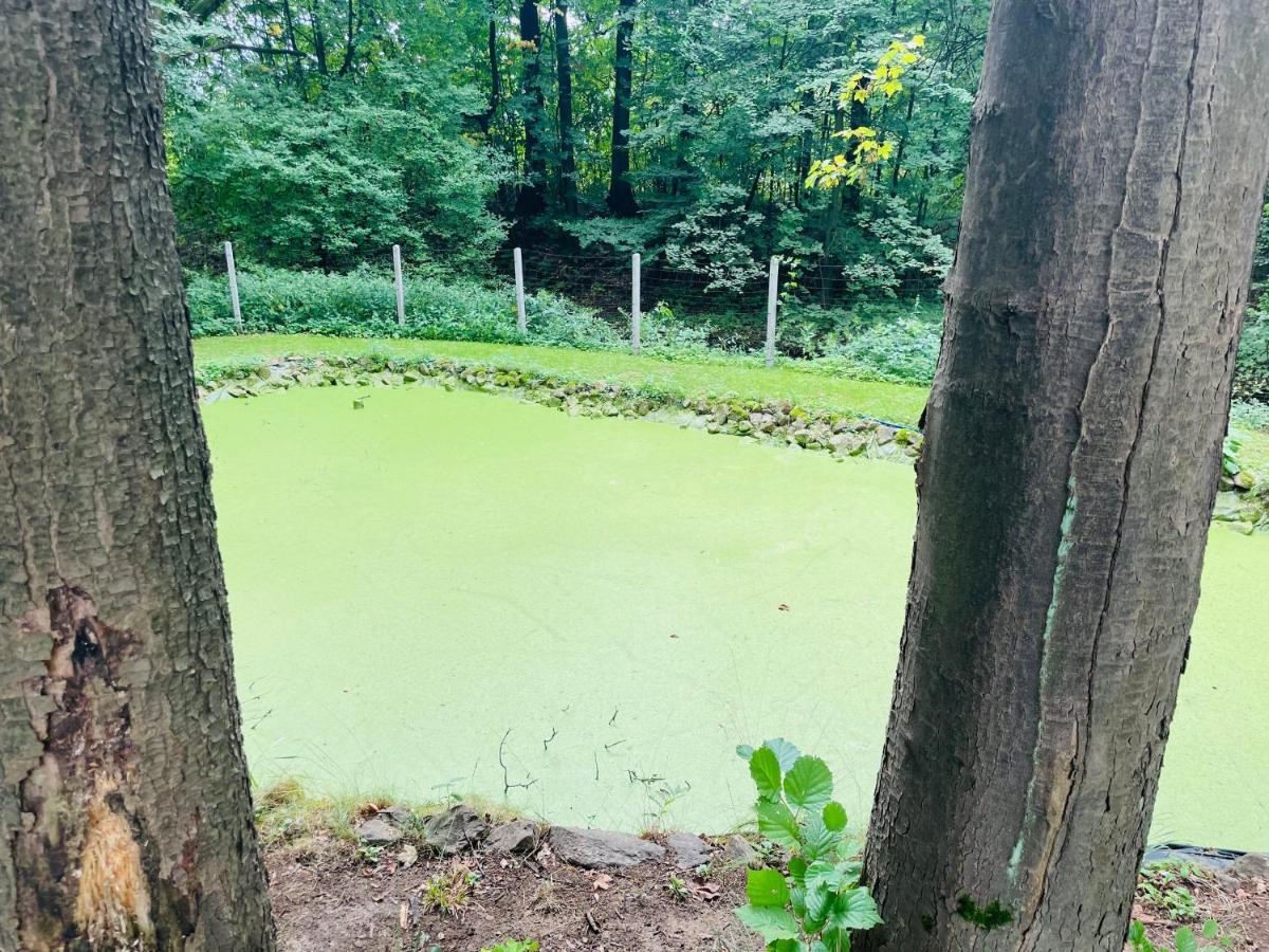 Romantyczna Chatka Pisarzowice  Dış mekan fotoğraf