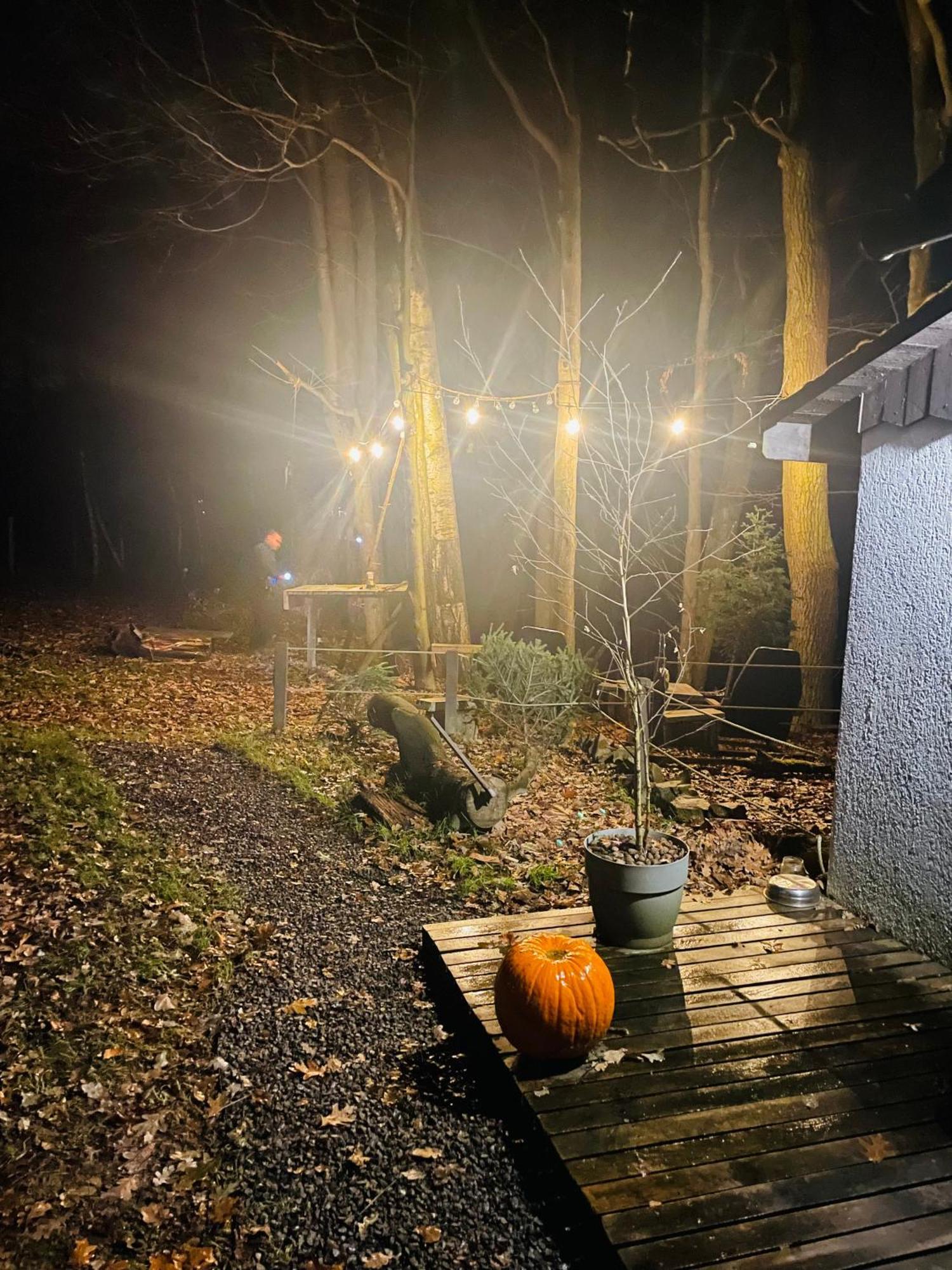 Romantyczna Chatka Pisarzowice  Dış mekan fotoğraf