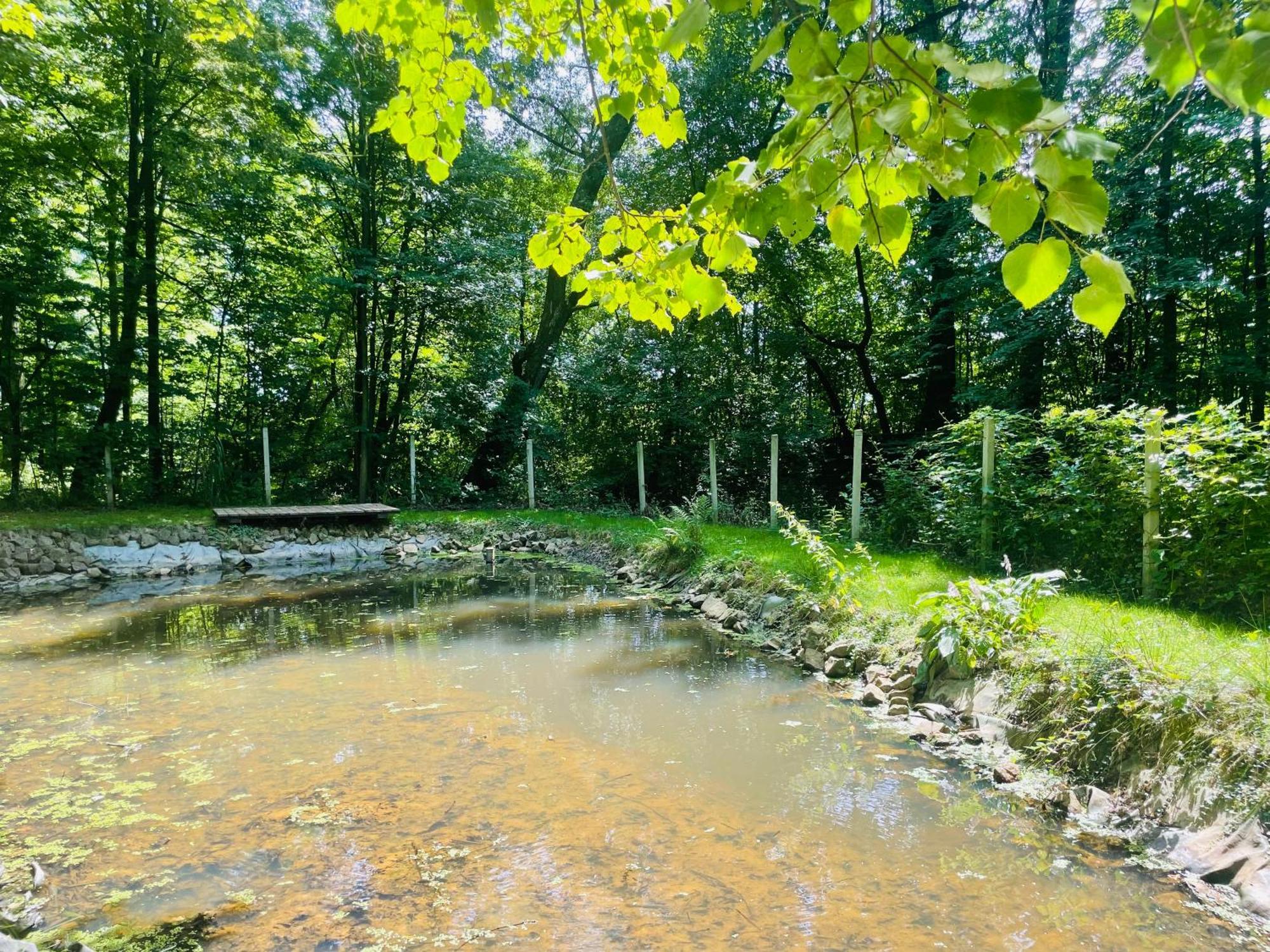 Romantyczna Chatka Pisarzowice  Dış mekan fotoğraf