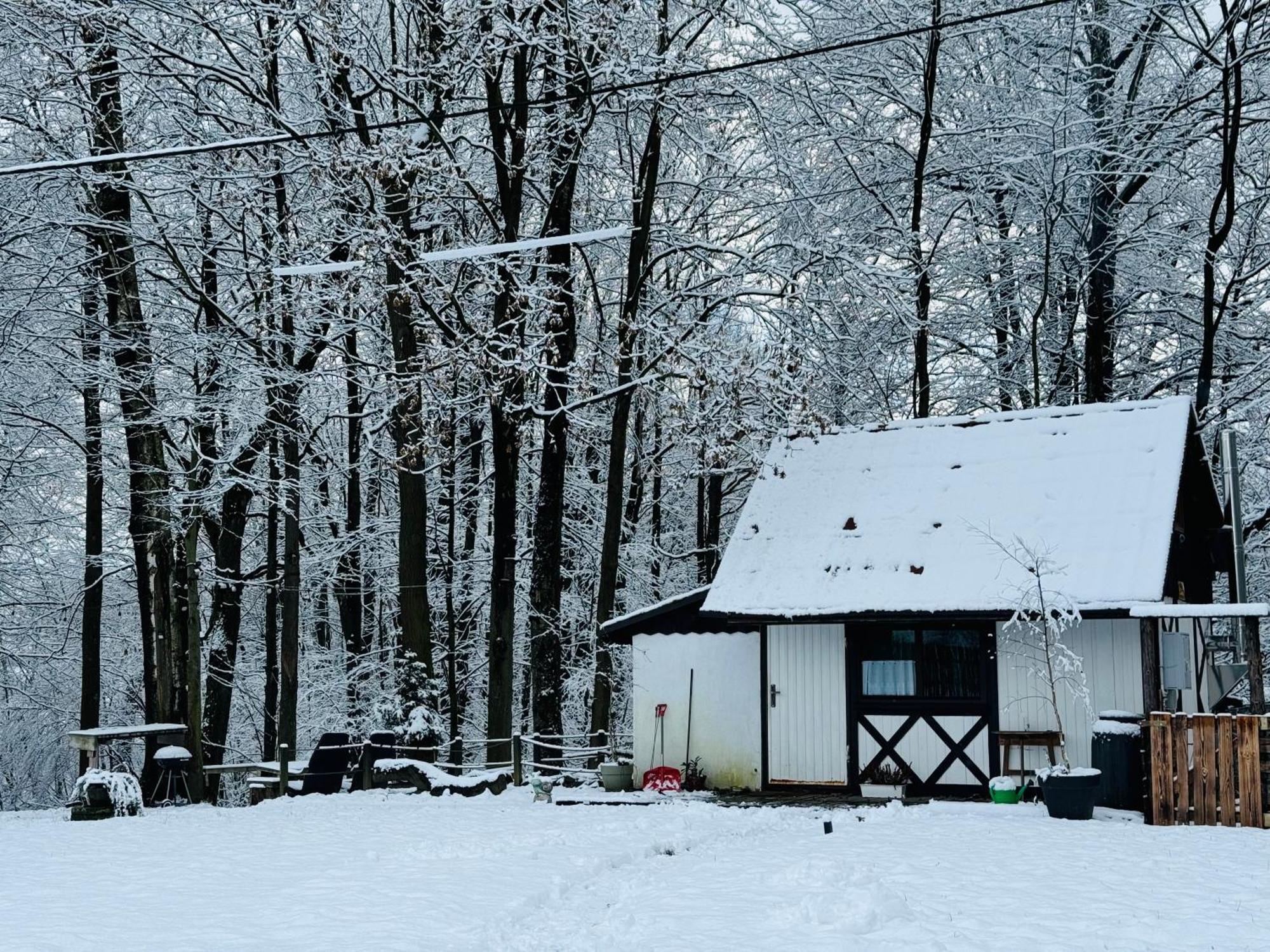 Romantyczna Chatka Pisarzowice  Dış mekan fotoğraf