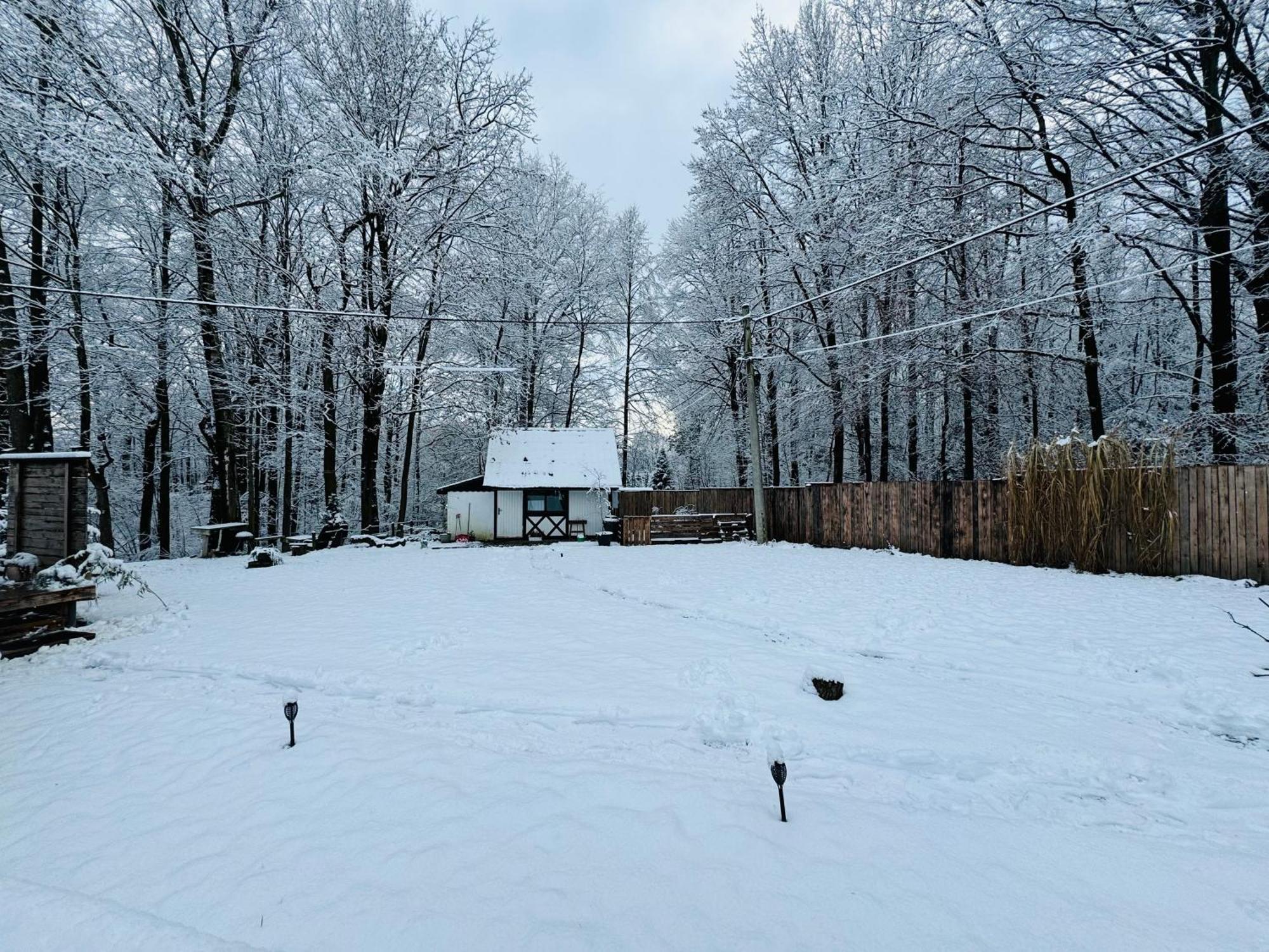Romantyczna Chatka Pisarzowice  Dış mekan fotoğraf