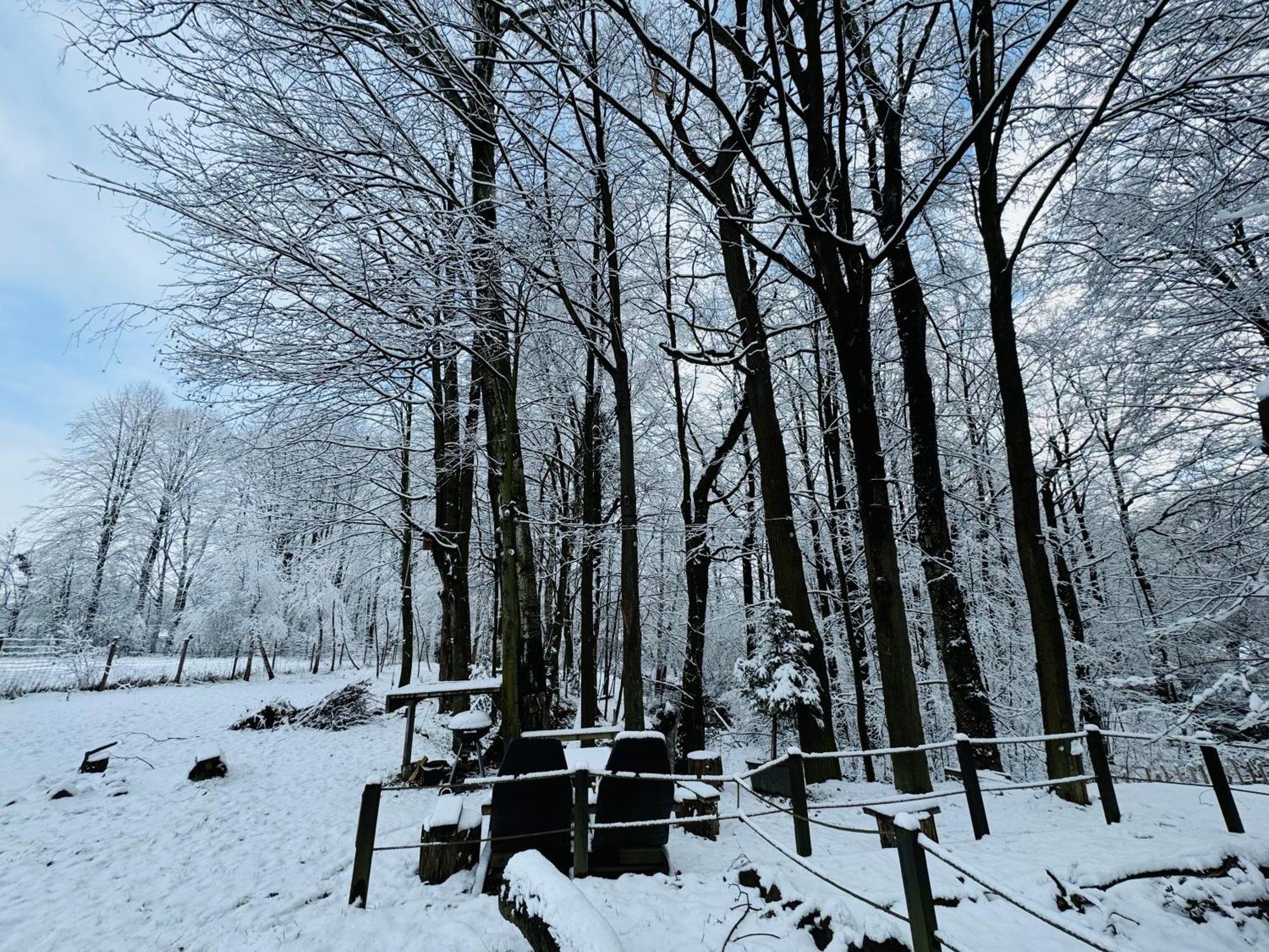 Romantyczna Chatka Pisarzowice  Dış mekan fotoğraf