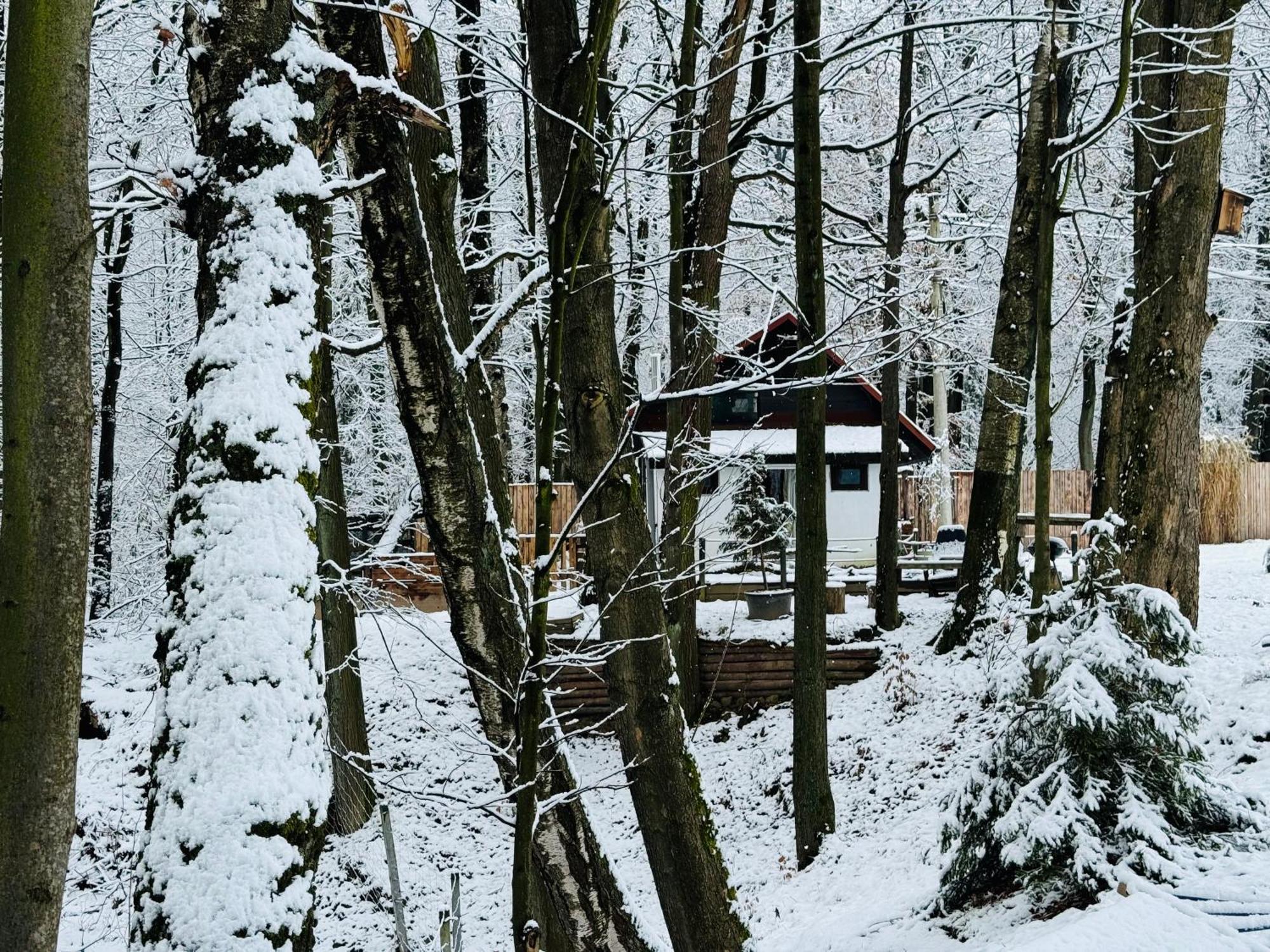 Romantyczna Chatka Pisarzowice  Dış mekan fotoğraf