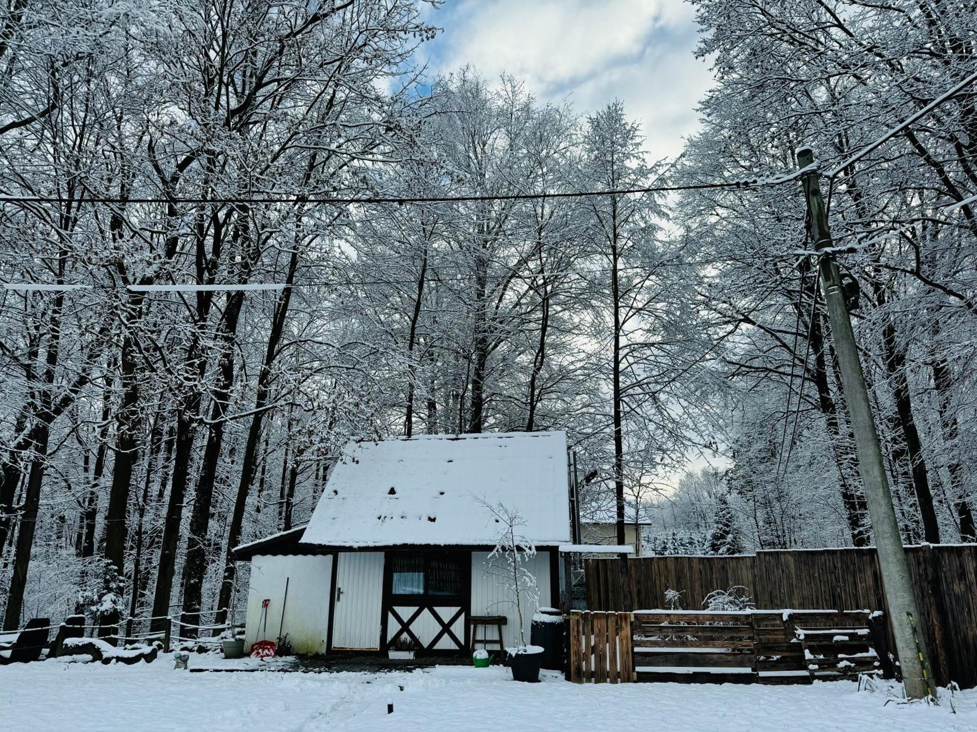 Romantyczna Chatka Pisarzowice  Dış mekan fotoğraf